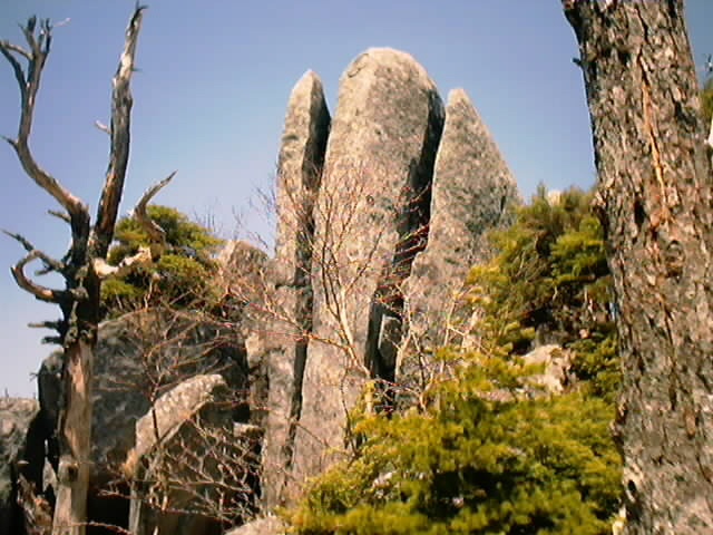 五葉山　山頂　日の出岩