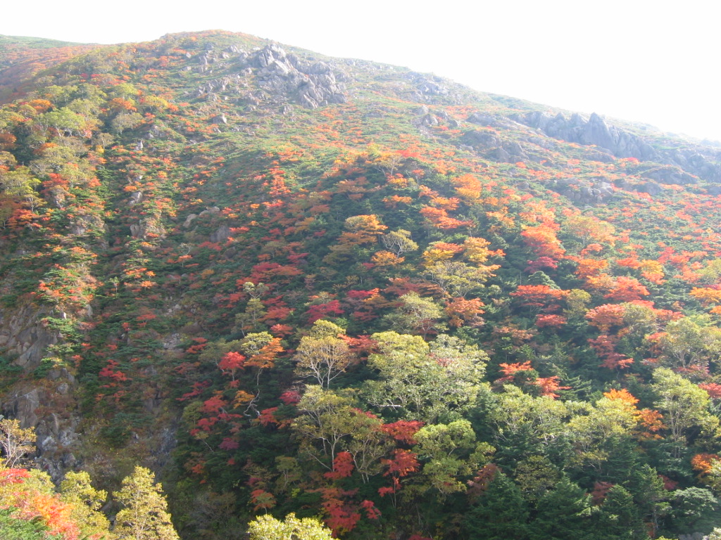 早池峰山　景色