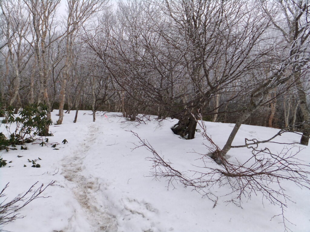 五葉山　登山道　雪多かった日2