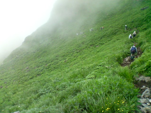 秋田駒ヶ岳　登山道