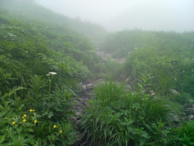 秋田駒ヶ岳　登山道