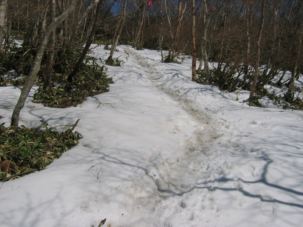 五葉山　残雪2