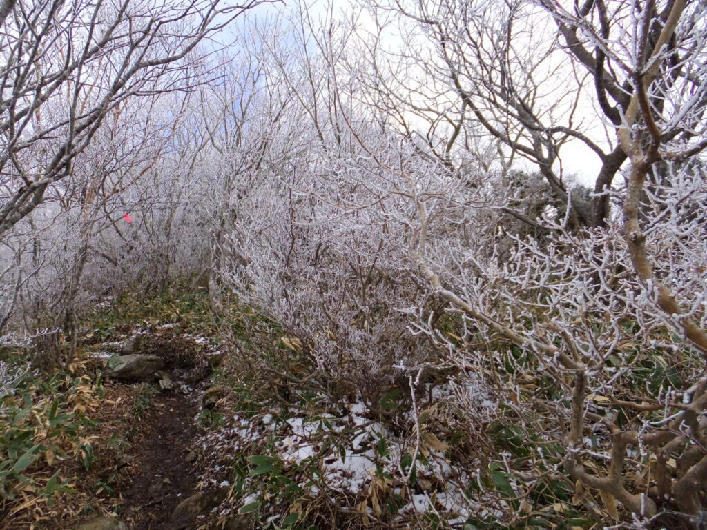 五葉山　登山道　雪多かった日1