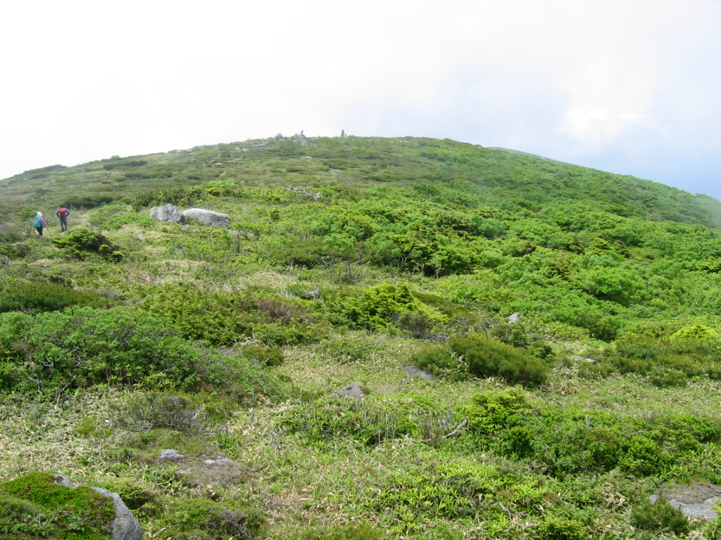 五葉山　三角点手前