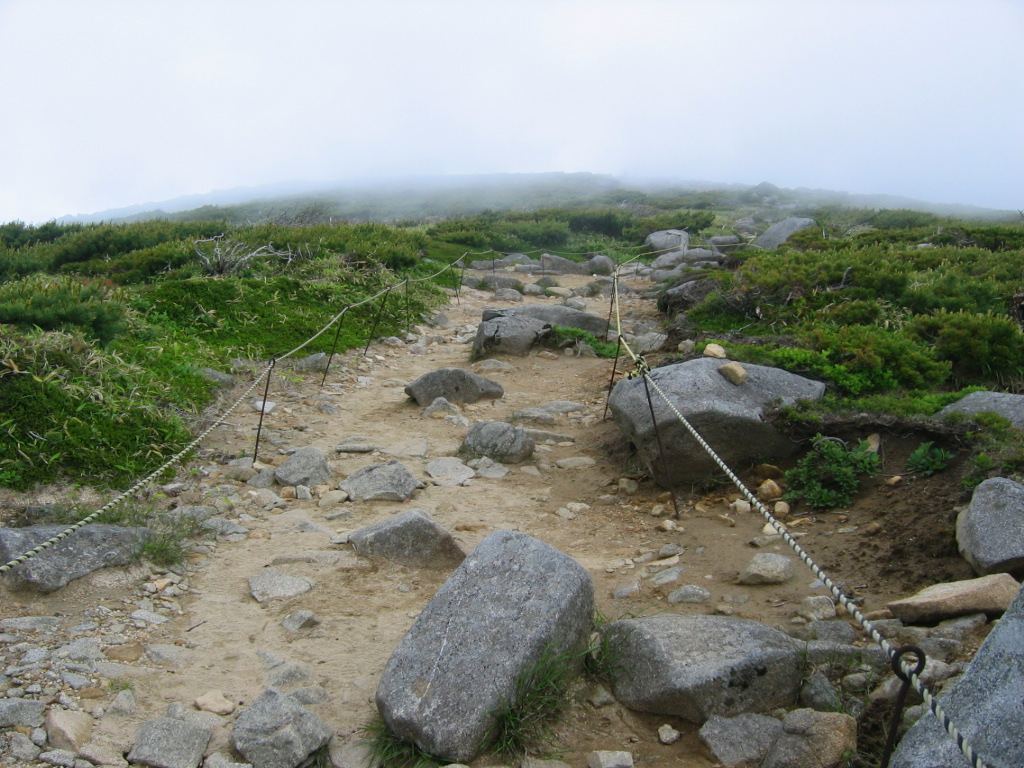 五葉山　日枝神社から三角点へ1