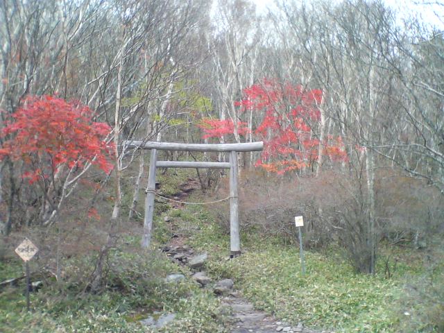 五葉山　畳石　鳥居