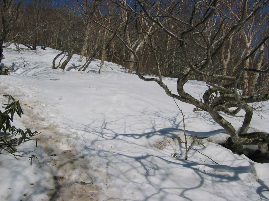 五葉山　残雪1