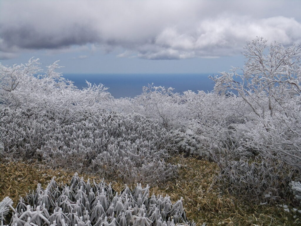 五葉山　雪多かった日6