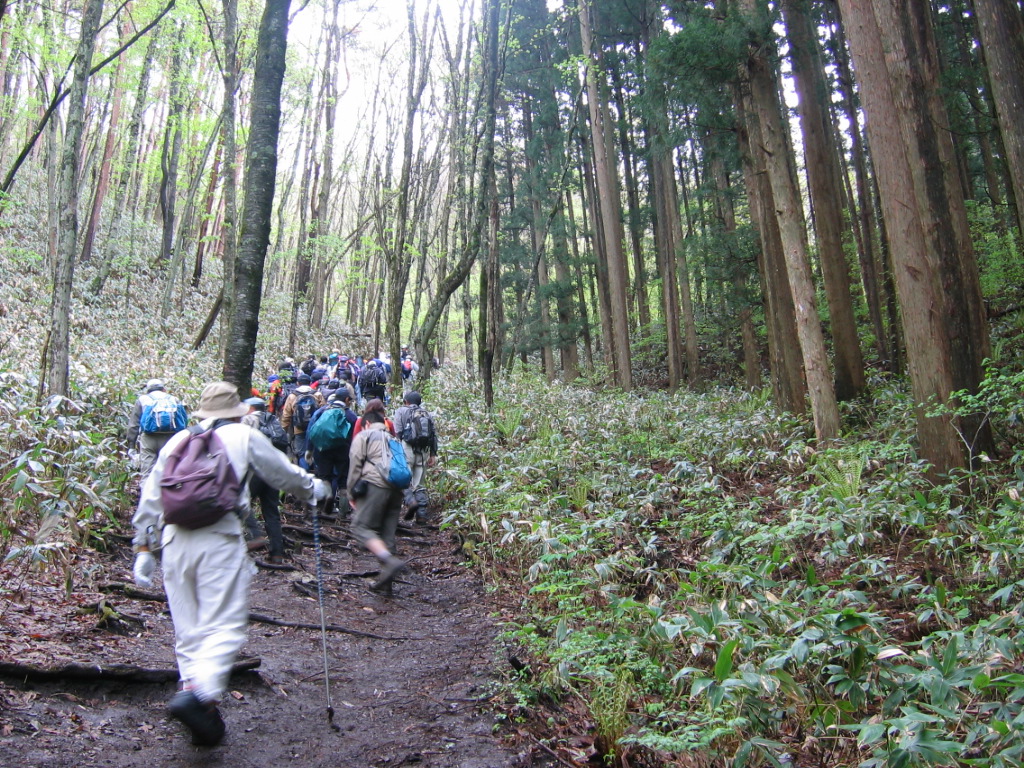 登山道1