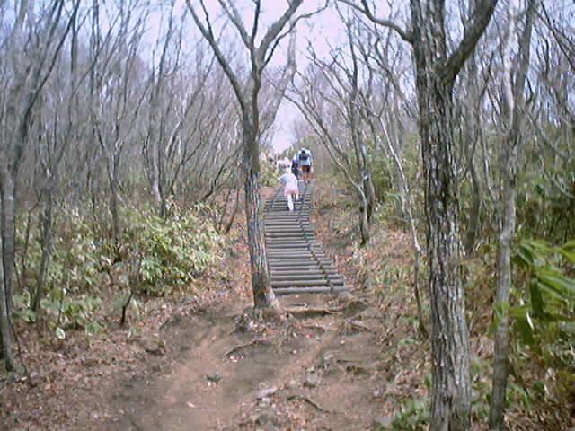 鞍掛山　登山道 3