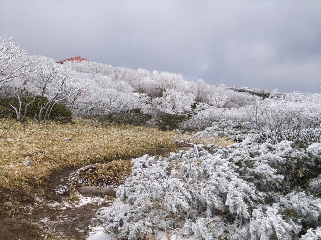 五葉山　登山道　雪多かった日3