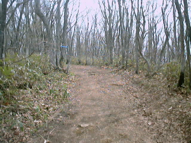 鞍掛山　登山道 1