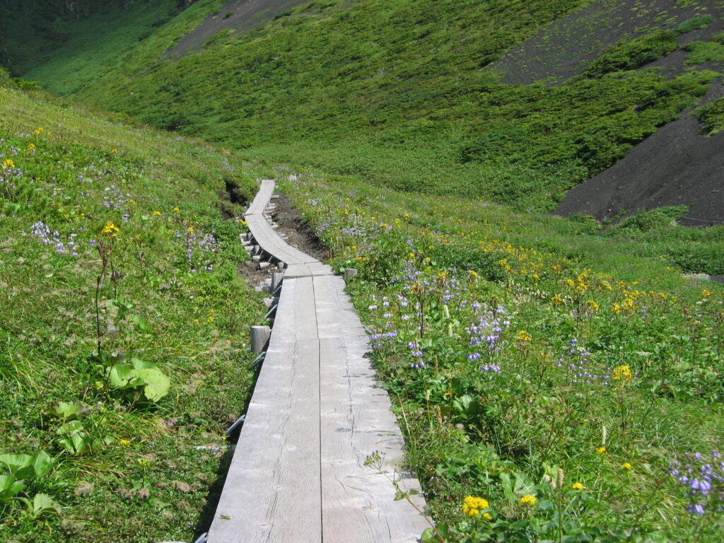 秋田駒ヶ岳　ムーミン谷