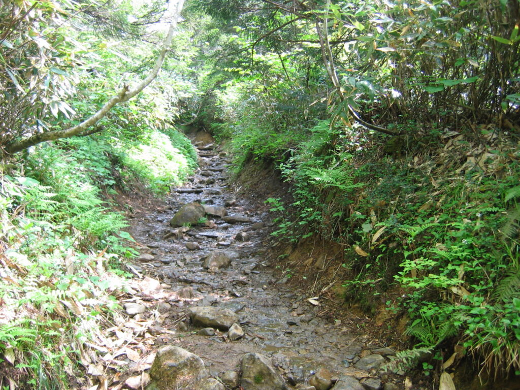 早池峰山　一合目登山道2