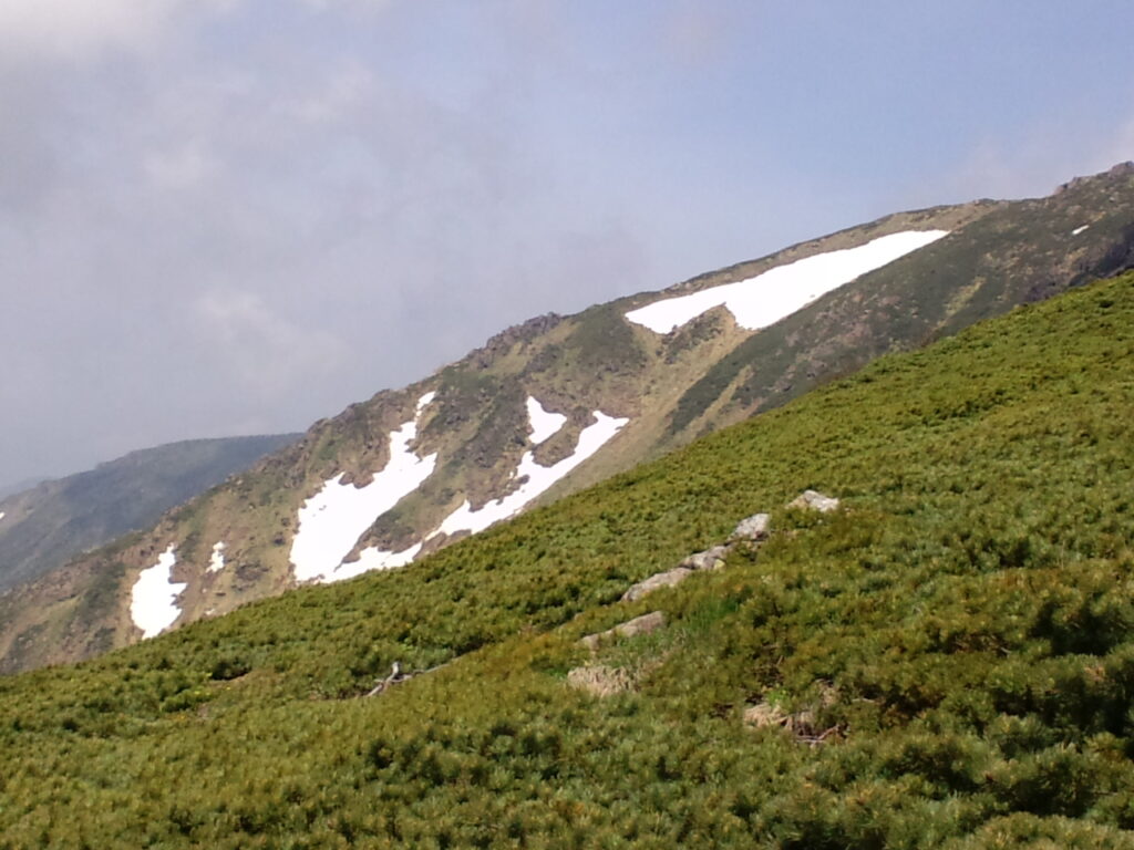 早池峰山　登山道から11